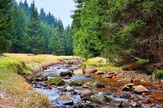 Mittellauf der Rolava (Rolau) im Erzgebirge bei Nove Hamry 