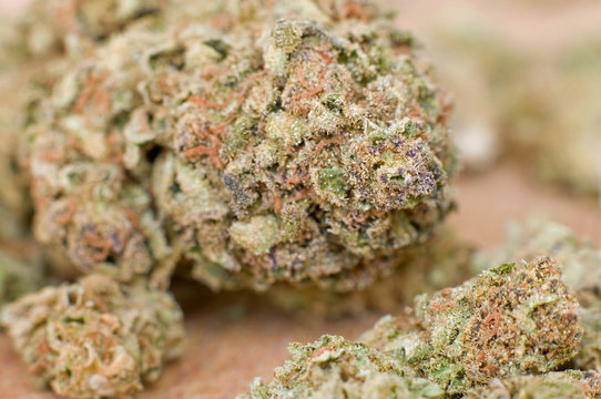 Extreme close-up of marijuana bud with very shallow DOF