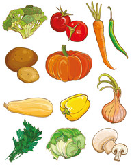 Vector vegetables set. Food ingredients