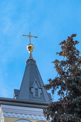 Fototapeta na wymiar Tower of the Catholic Church and pine
