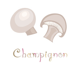 Champignon Edible Mushroom
