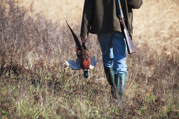 Back of going hunter with wildfowl