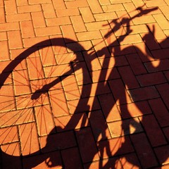 shadow of bicycle