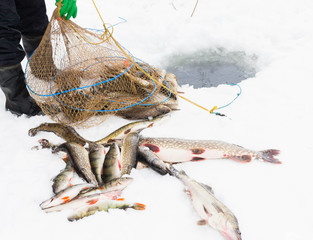 Fishing with net in the ice hole