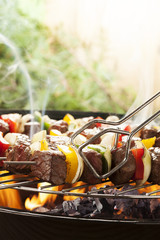 Grilled beef skewers with onions and peppers color.