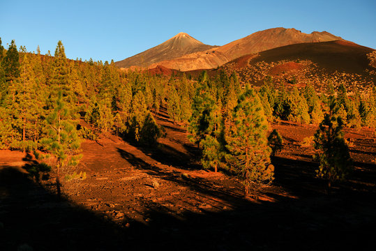 Las Canadas del Teide National Park, Tenerife, Canary Islands, Spain