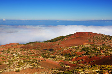 Obraz premium El Teide National Park, Tenerife, Canary Islands