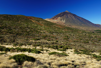 El Teide National Park, Tenerife, Canary Islands