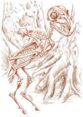 legendary animals and monsters: HARPY