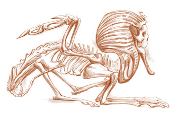 legendary animals and monsters: SPHINX