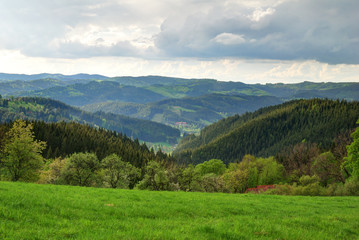 Fototapeta na wymiar Green forest and valley highland landscape