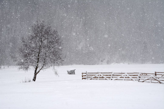 Blizzard winter landscape