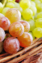 Grapes