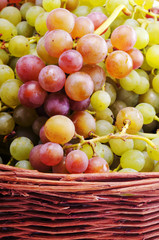 Grapes