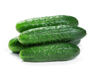 Fresh green cucumbers
