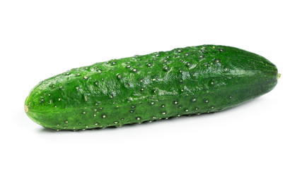 Fresh green cucumber