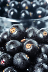 Black currants