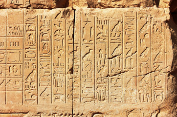 Old Egypt Hieroglyphs