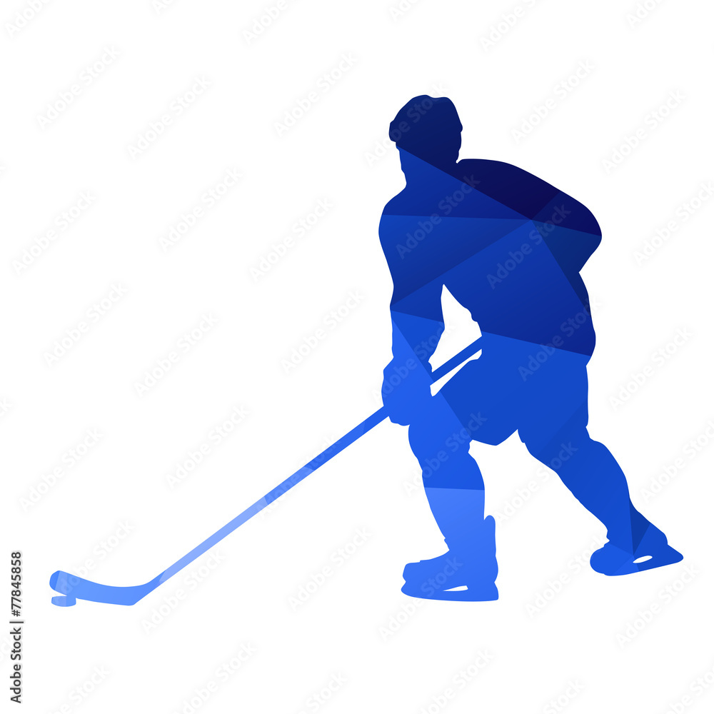 Wall mural Abstract hockey player