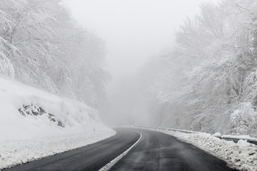 Obraz premium Rural road in winter. Trees covered by the snow and fog