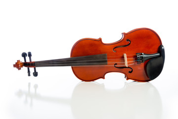 Violin on a white background