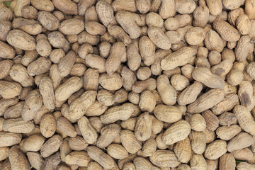 Peanut background