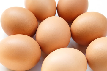 eggs on white background