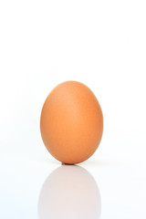 eggs on white background