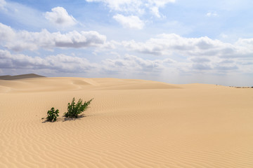 Sand desert in Viana Boavista, Cape Verde