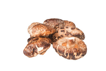 Shitake mushrooms isolated on white background