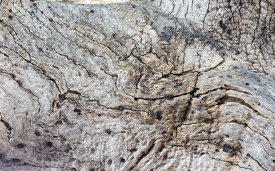 wood tree pattern
