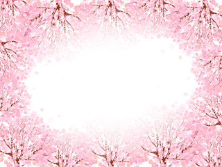 桜　花　背景
