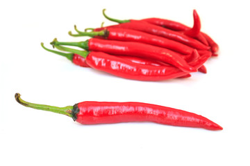 pepper on white background
