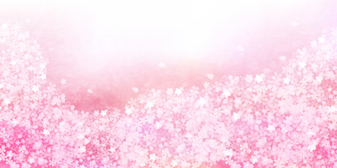 桜　花　背景