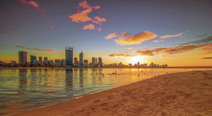 Golden Sunrise View of Perth Skyline - obrazy, fototapety, plakaty