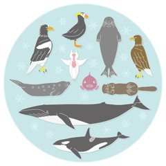 北国の海辺の生き物 © hiro