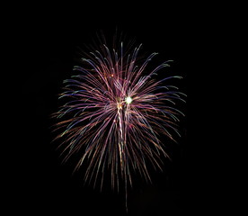 Fototapeta premium colorful firework from japanese traditional summer festival