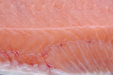 Fish texture