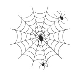 spider vector in white background, spider vector, cobweb vector