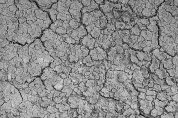 Dry crack soil on dry season, Global worming effect.
