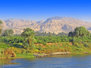 Egypte rives du Nil - obrazy, fototapety, plakaty