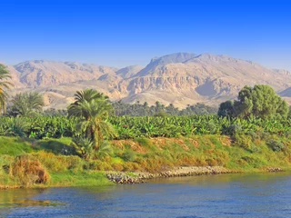Fotobehang Egyptische oevers van de Nijl © foxytoul