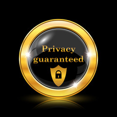 Privacy guaranteed icon