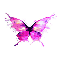 butterflies design