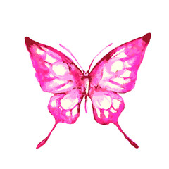 butterflies design