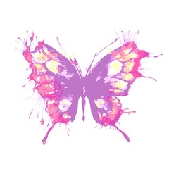 butterflies design