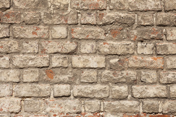 wall