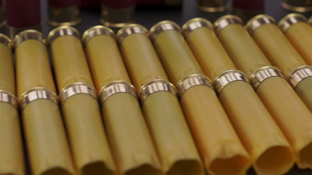 Shotgun Shells Lined Up Dolly Over