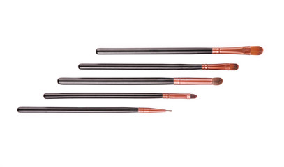 Professional brush set for makeup. Isolated