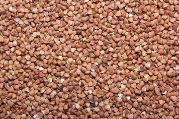 texture background - close up of raw buckwheat
